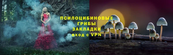 мдма Медвежьегорск