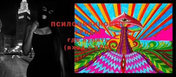 мдма Медвежьегорск