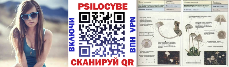 купить закладку Набережные Челны kraken рабочий сайт Псилоцибиновые грибы мицелий